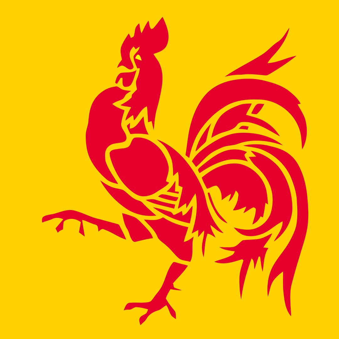 La Wallonie réduit drastiquement les droits d’enregistrement et de succession : nouveaux tarifs à partir de 2025 et 2028